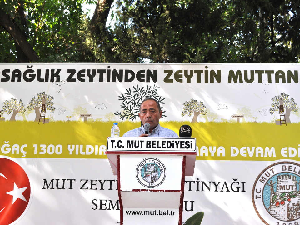 Gürsel Aydın: ''Ayvalık Zeytin Türü Mut'a Ait''